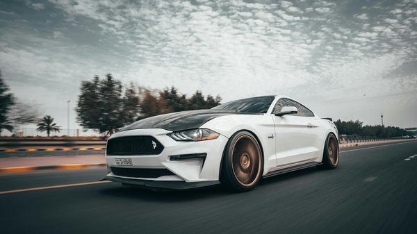 Évolution Fascinante : Le Design des Ceintures de Sécurité entre Automobile et Mode à Travers les Âges